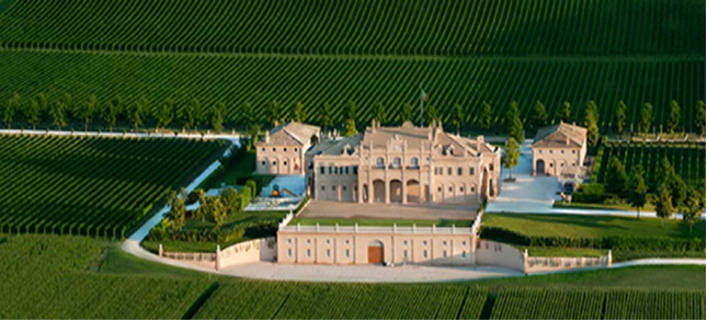 Vineyard View