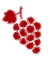 RED GRAPE